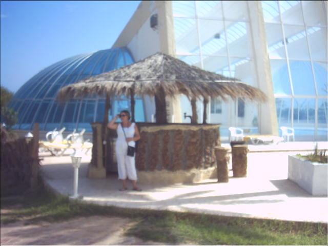 djeb (7)