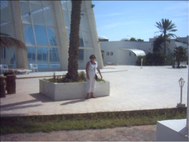 djeb (8)