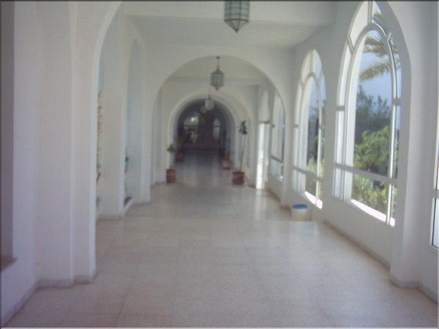 djeb (12)