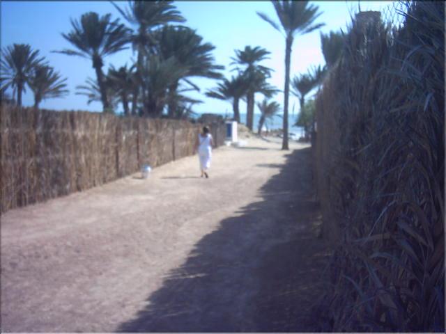 djeb (15)
