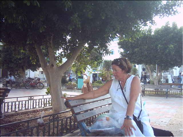 djeb (53)